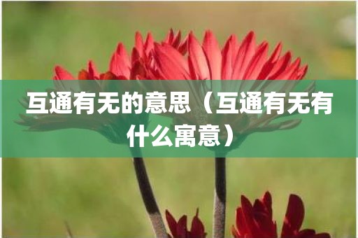 互通有无的意思（互通有无有什么寓意）