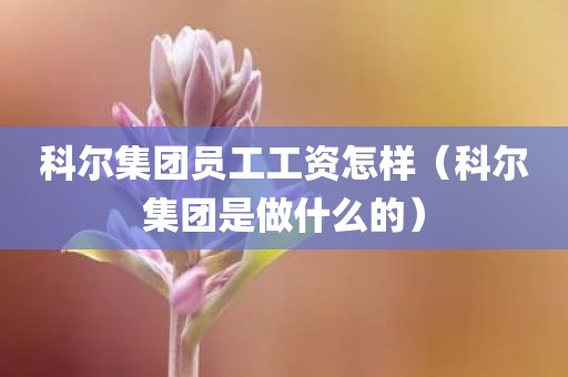 科尔集团员工工资怎样（科尔集团是做什么的）