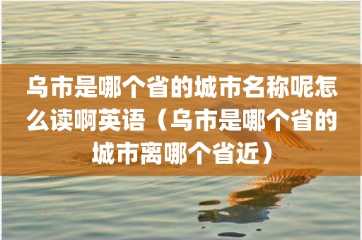 乌市是哪个省的城市名称呢怎么读啊英语（乌市是哪个省的城市离哪个省近）