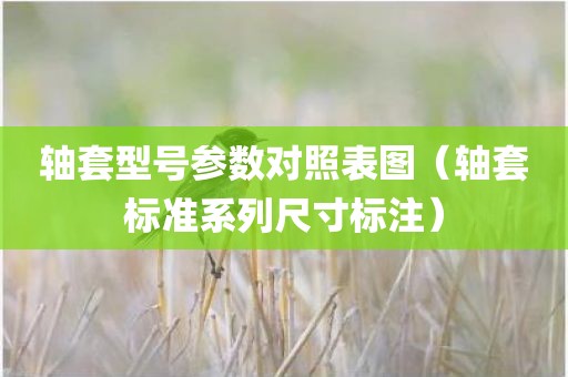 轴套型号参数对照表图（轴套标准系列尺寸标注）