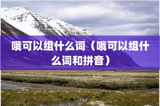 哦可以组什么词（哦可以组什么词和拼音）