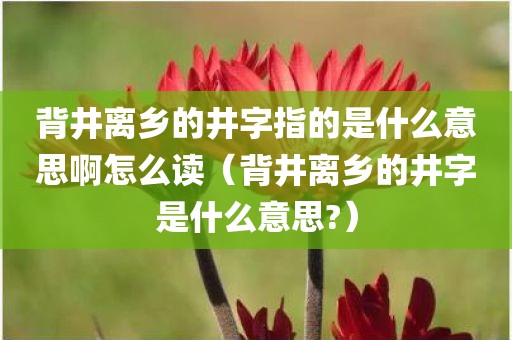 背井离乡的井字指的是什么意思啊怎么读（背井离乡的井字是什么意思?）