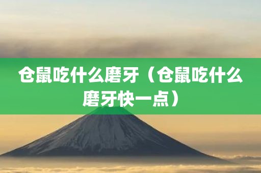 仓鼠吃什么磨牙（仓鼠吃什么磨牙快一点）