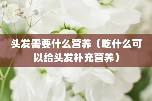 头发需要什么营养（吃什么可以给头发补充营养）