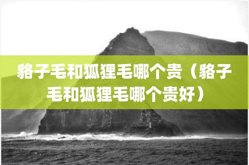 貉子毛和狐狸毛哪个贵（貉子毛和狐狸毛哪个贵好）