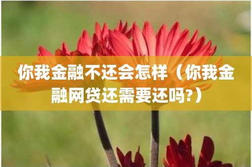 你我金融不还会怎样（你我金融网贷还需要还吗?）