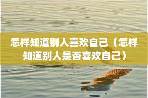 怎样知道别人喜欢自己（怎样知道别人是否喜欢自己）