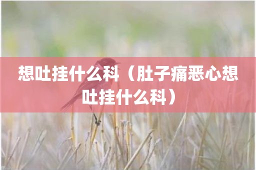 想吐挂什么科（肚子痛恶心想吐挂什么科）