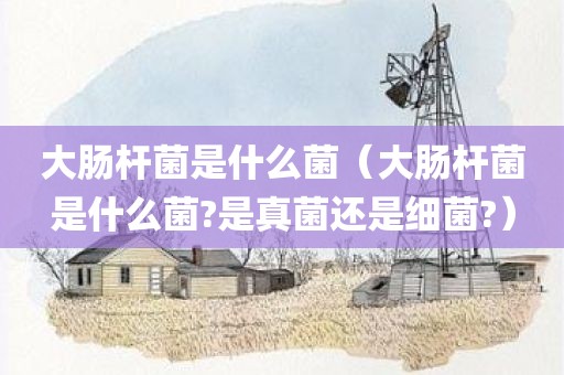 大肠杆菌是什么菌（大肠杆菌是什么菌?是真菌还是细菌?）