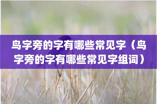 鸟字旁的字有哪些常见字(鸟字旁的字有哪些常见字组词)