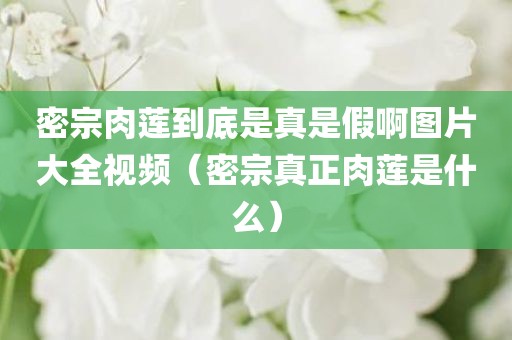 密宗肉莲到底是真是假啊图片大全视频（密宗真正肉莲是什么）
