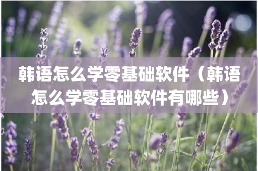 韩语怎么学零基础软件(韩语怎么学零基础软件有哪些)