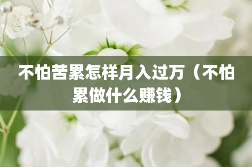 不怕苦累怎样月入过万（不怕累做什么赚钱）