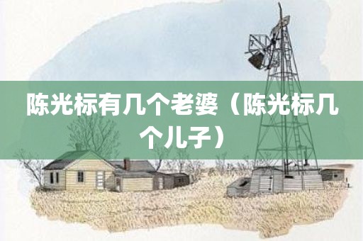 陈光标有几个老婆（陈光标几个儿子）