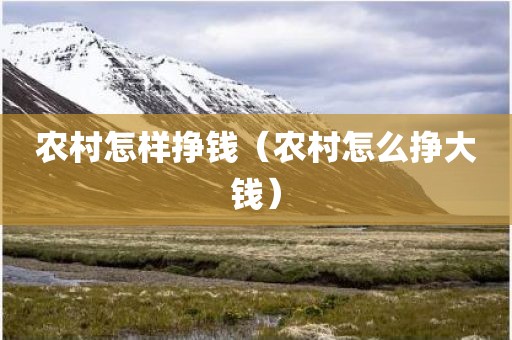 农村怎样挣钱(农村怎么挣大钱)