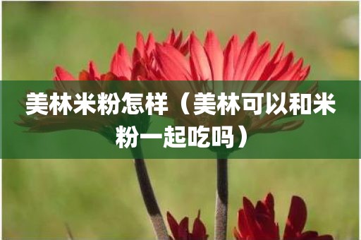 美林米粉怎样（美林可以和米粉一起吃吗）