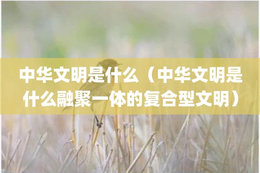 中华文明是什么（中华文明是什么融聚一体的复合型文明）