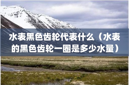 水表黑色齿轮代表什么（水表的黑色齿轮一圈是多少水量）