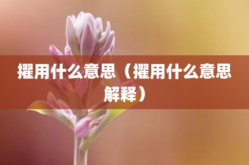 擢用什么意思（擢用什么意思解释）