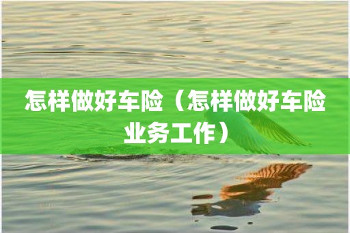 怎样做好车险(怎样做好车险业务工作) 怎样做好车险(怎样做好车险业务工作)