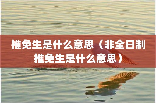 推免生是什么意思（非全日制推免生是什么意思）