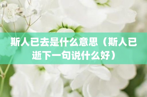 斯人已去是什么意思（斯人已逝下一句说什么好）