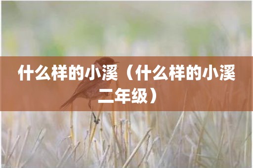 什么样的小溪（什么样的小溪二年级）