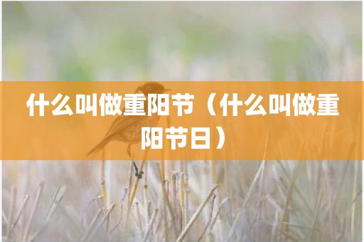 什么叫做重阳节（什么叫做重阳节日）