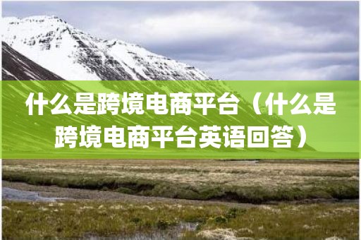 什么是跨境电商平台（什么是跨境电商平台英语回答）