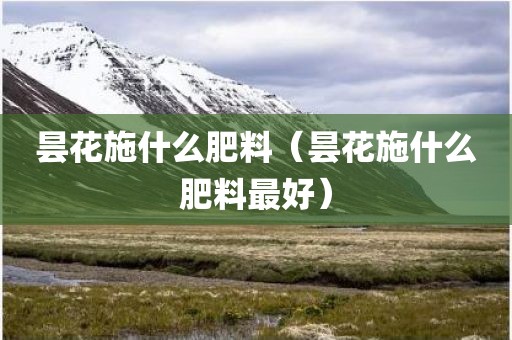 昙花施什么肥料(昙花施什么肥料最好)