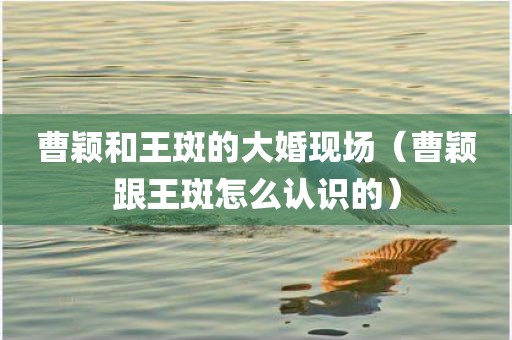 曹颖和王斑的大婚现场（曹颖跟王斑怎么认识的）