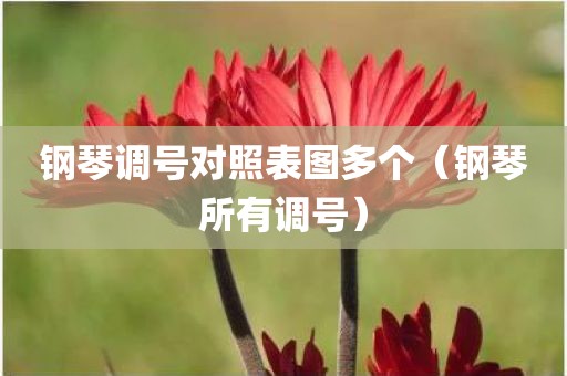 钢琴调号对照表图多个（钢琴所有调号）