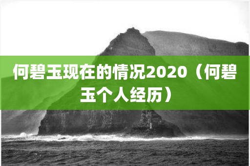 何碧玉现在的情况2020（何碧玉个人经历）