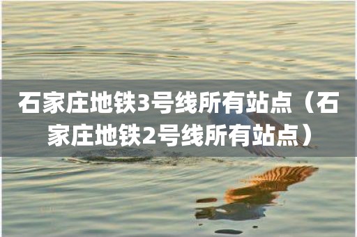 石家庄地铁3号线所有站点（石家庄地铁2号线所有站点）