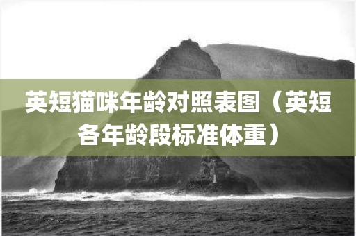 英短猫咪年龄对照表图（英短各年龄段标准体重）