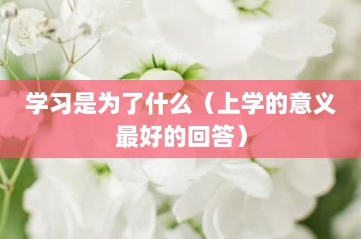 学习是为了什么（上学的意义最好的回答）