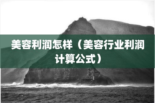 美容利润怎样（美容行业利润计算公式）