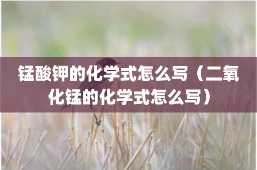 锰酸钾的化学式怎么写（二氧化锰的化学式怎么写）
