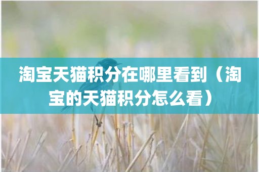 淘宝天猫积分在哪里看到（淘宝的天猫积分怎么看）
