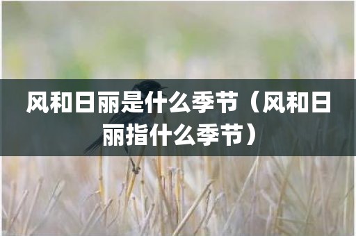 风和日丽是什么季节（风和日丽指什么季节）