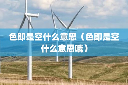 色即是空什么意思（色即是空什么意思哦）
