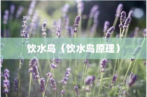 饮水鸟（饮水鸟原理）