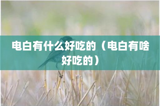 电白有什么好吃的（电白有啥好吃的）