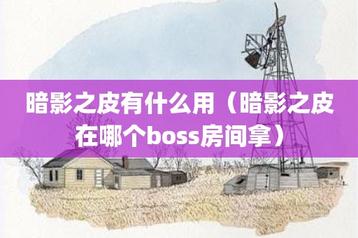 暗影之皮有什么用（暗影之皮在哪个boss房间拿）