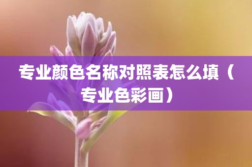 专业颜色名称对照表怎么填（专业色彩画）