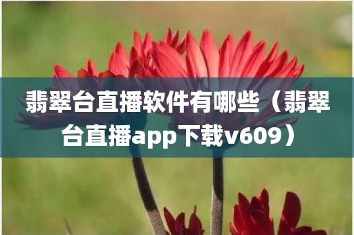 翡翠台直播软件有哪些（翡翠台直播app下载v609）