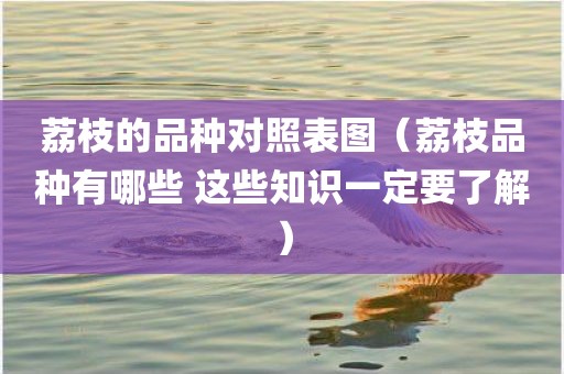 荔枝的品种对照表图（荔枝品种有哪些 这些知识一定要了解）