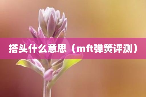 搭头什么意思（mft弹簧评测）