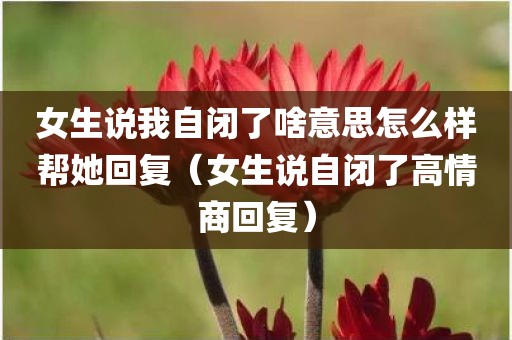 女生说我自闭了啥意思怎么样帮她回复（女生说自闭了高情商回复）
