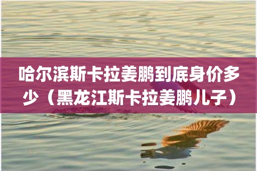 哈尔滨斯卡拉姜鹏到底身价多少（黑龙江斯卡拉姜鹏儿子）